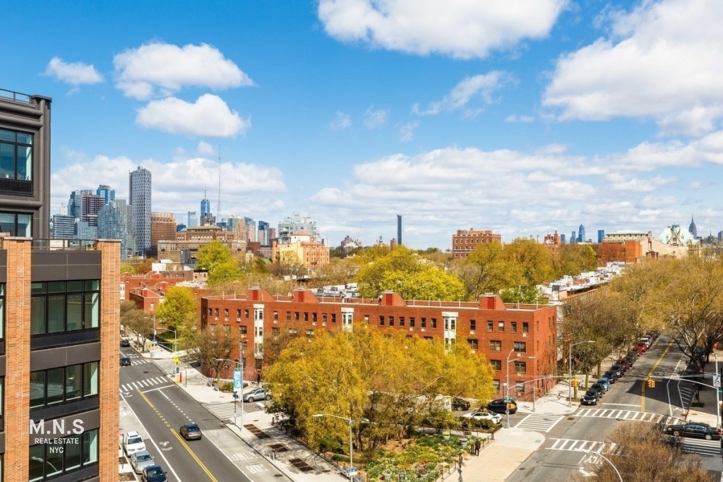 840 Fulton Street 303 Fort Greene Brooklyn NY 11238