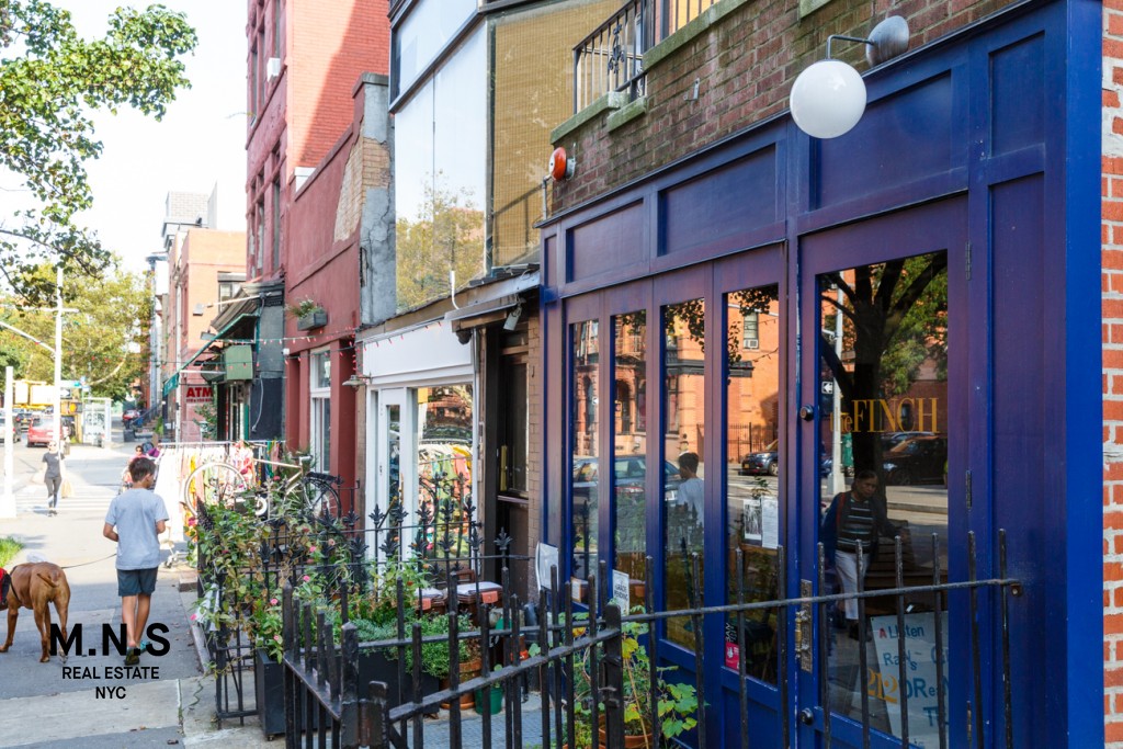 175 Spencer Street 2-E Bedford Stuyvesant Brooklyn NY 11205