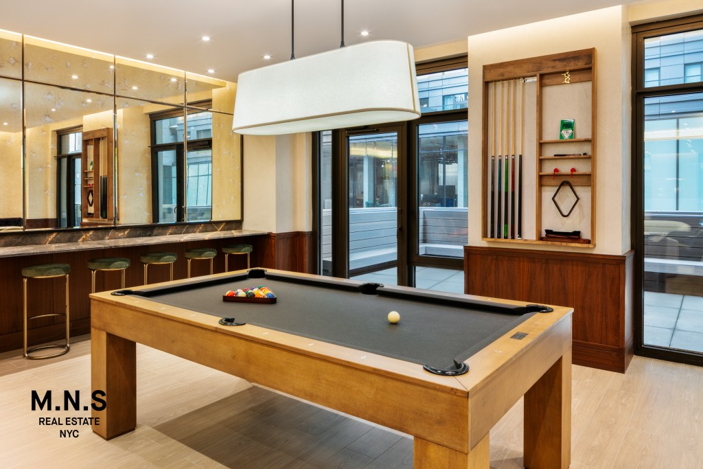 19 Rockwell Place 9-G Fort Greene Brooklyn NY 11217