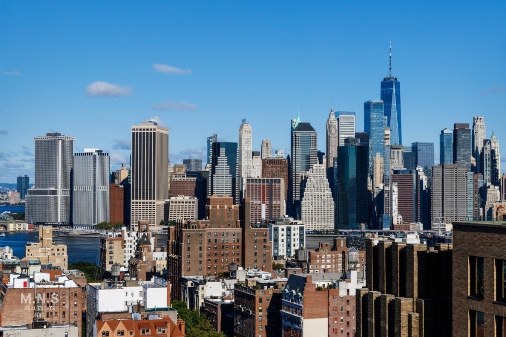 200 Montague Street 16-E Brooklyn Heights Brooklyn NY 11201